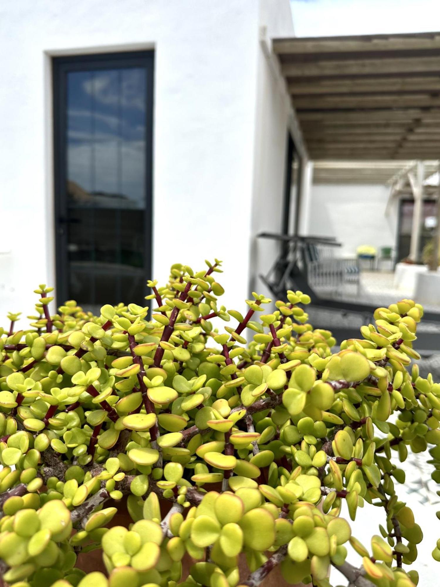 Casita Tiare Lajares Apartment Luaran gambar