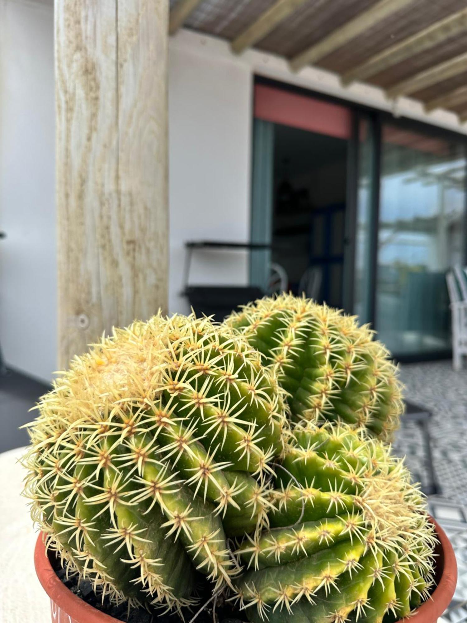 Casita Tiare Lajares Apartment Luaran gambar